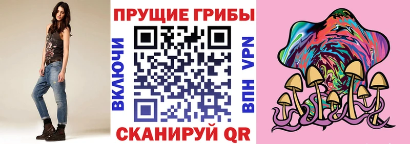 закладка  Великий Устюг  Галлюциногенные грибы Psilocybe 